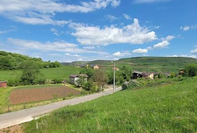 Teren Construcții intravilan de 2900 mp, în Mera - 3