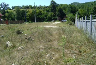 Spațiu comercial, în Eșelnița - 5