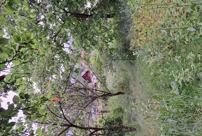 Casă cu 3 camere cu Teren 260 Mp în Onești - 10