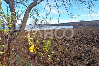 Teren intravilan 1687 mp pentru cabana zona de gradini Cisnadie - 4