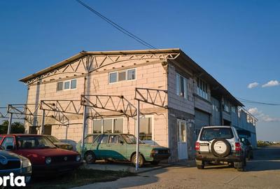 Teren de 10000 mp, în Vișina - 4