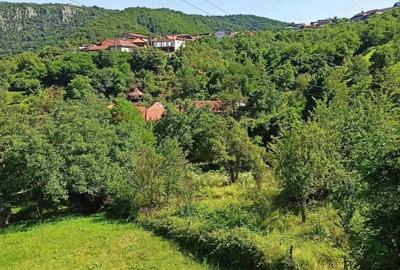 Teren de 1243 mp, în Dubova - 5