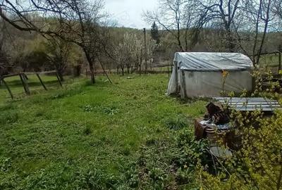 Casă cu 2 camere în Vârfurile - 1