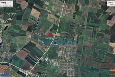 Teren de 542 mp, în Zimandcuz - 13