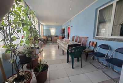 Casă cu 2 camere cu Teren 2489 Mp în Mădăras - 4