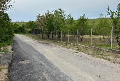Teren de 570 mp, în Petrăchioaia