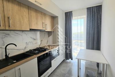Apartament cu 2 camere, etaj intermediar, bloc cu lift, zona Lipovei - 4