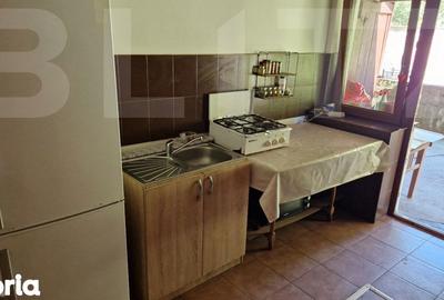Casă cu 4 camere cu Teren 3166 Mp în Burjuc - 12