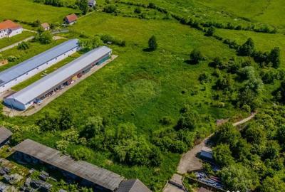 Teren de 9335 mp, în Teliu - 1