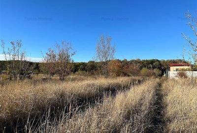 Teren intravilan 1170 mp Corbeanca Padurea Tamasi - 2