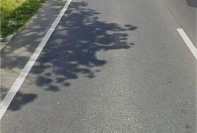 Teren de 38000 mp, în Est - 2