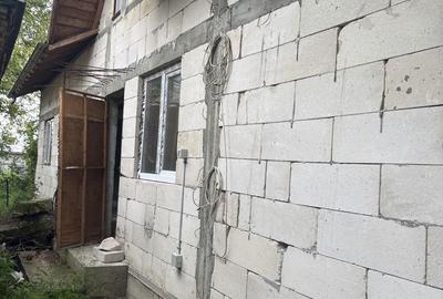 Casă cu 3 camere cu Teren 2500 Mp în Costești - 6