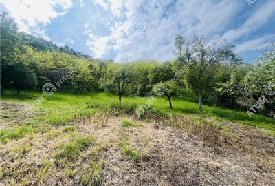 Teren de 1811 mp, în Sibiel - 9
