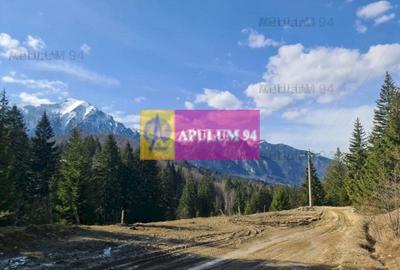 Teren de vânzare în Predeal - Zona Forban - 3