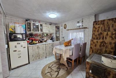 Casa individuala cu teren generos Jilava - Str Garii - 18