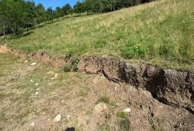 Teren de 9321 mp, în Breaza de Sus