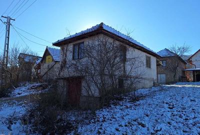 Vand casa cu vie localitatea Ineu judetul Arad - 2