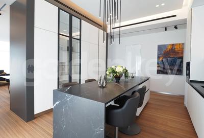 Penthouse cu 5 camere decomandat, mobilat în Băneasa - 8