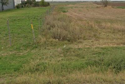 Teren de 15000 mp, în Exterior Vest - 2