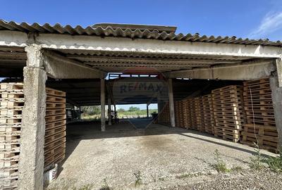 Spa?iu industrial Hale si Fabrica de lemn - 1