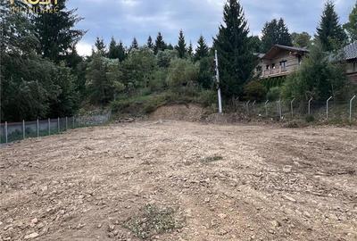 Colibita teren intravilan utilitati - 10