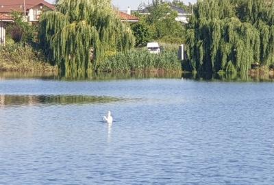 Ocazie - Teren Corbeanca langa lac - 3