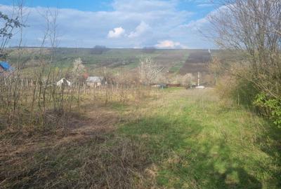 Spațiu comercial, în Rusenii Noi - 2