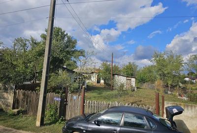 Vand casa batranesca in Ro?iori de Vede - 3