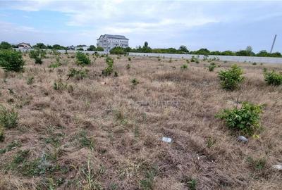 Teren 10.000 mp Giurgiului Tiparnitei Teren 10.000 mp Giurgiului Tiparnitei - 5