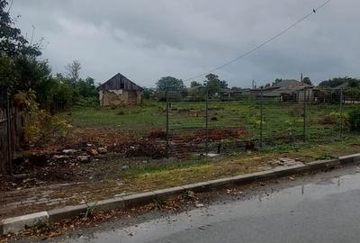 Spațiu comercial, în Tuzla - 3
