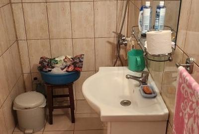 Casa 3 camere cu garaj Viile Noi - 13