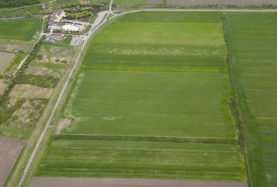 Teren de 22500 mp, în Ineu - 2