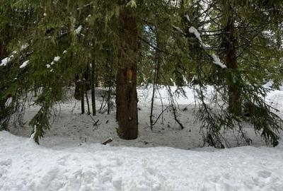 Teren intravilan cu panorama - statiunea Muntele Baisorii - 2