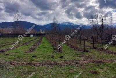 Teren intravilan 2060 mp de vanzare in Avrig zona Valea Avrigului - 3