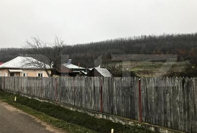 Casa + Teren - 1.724 mp Parcelat de vanzare Valea Mare - 11