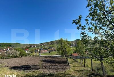 Casă cu 4 camere cu Teren 23850 Mp în Central - 4