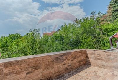 Casa CU POVESTE rezidential/ vacanta in Teliu cu 1700 mp teren! - 20