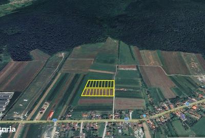 Spațiu comercial, în Bălata - 4