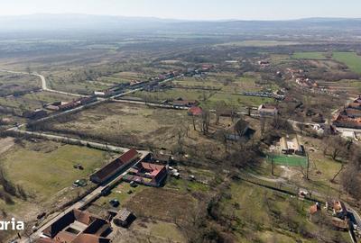 Casă cu 8 camere cu Teren 7235 Mp în Traian Vuia - 6