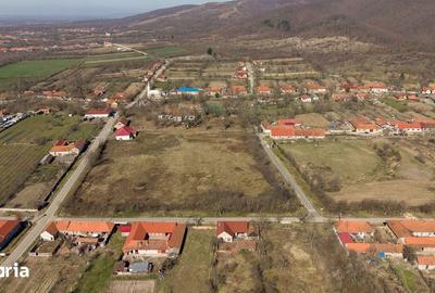 Casă cu 8 camere cu Teren 7235 Mp în Traian Vuia - 16