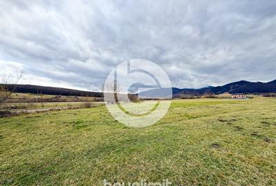 Teren intravilan in Tocile - 4354 m² - 2 fronturi - oferta competitiva - 13