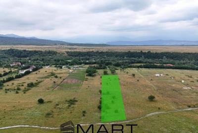 Teren de 5000 mp, în Avrig - 12