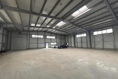 OCAZIE...BLACK FRIDAY...Inchiriere depozit/hala/spatiu industrial Pantelimon - C - 3