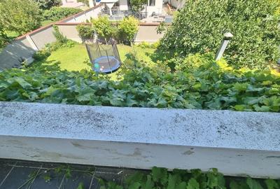 Ovidiu-vila D+P+1+M libera aproape de lac - 25