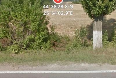 Teren de 80975 mp, în Crevedia - 1