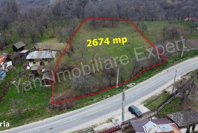 Teren de 2674 mp, în Cepari - 9