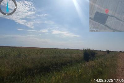 Cota de 1/4 din teren loc. Amarastii de Jos, Jud Dolj - 6