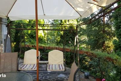 Casă cu 6 camere cu Teren 6200 Mp în Mărășești - 9