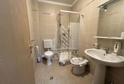 Spațiu comercial, de 1,245 mp, în Aradului - 6