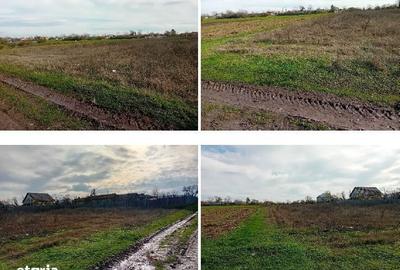 Teren de 1578 mp, în Mălureni - 4